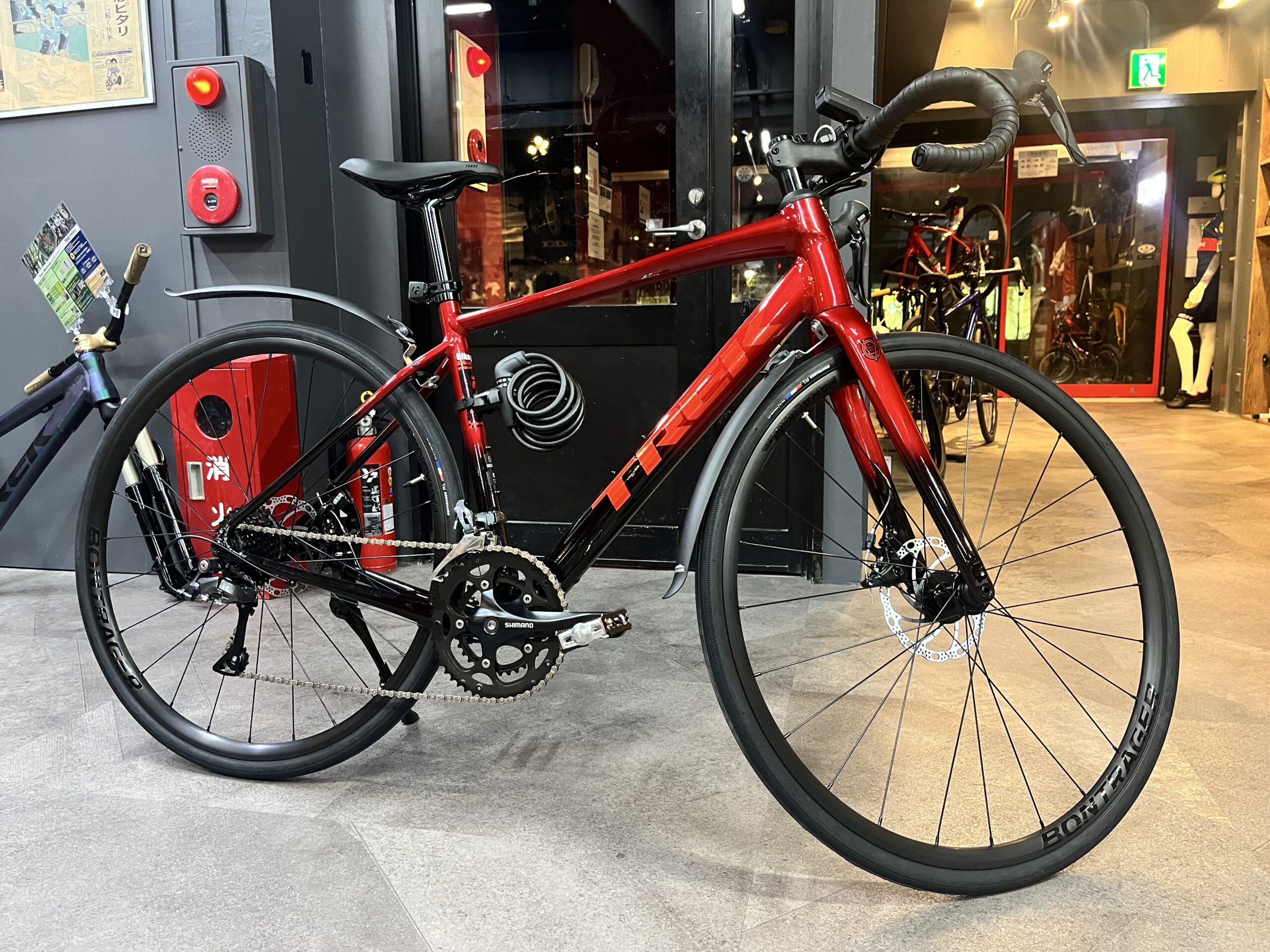 Domane AL2 GEN4 ~ドマーネAL2 GEN4 カラー：Crimson to Dark Carmine